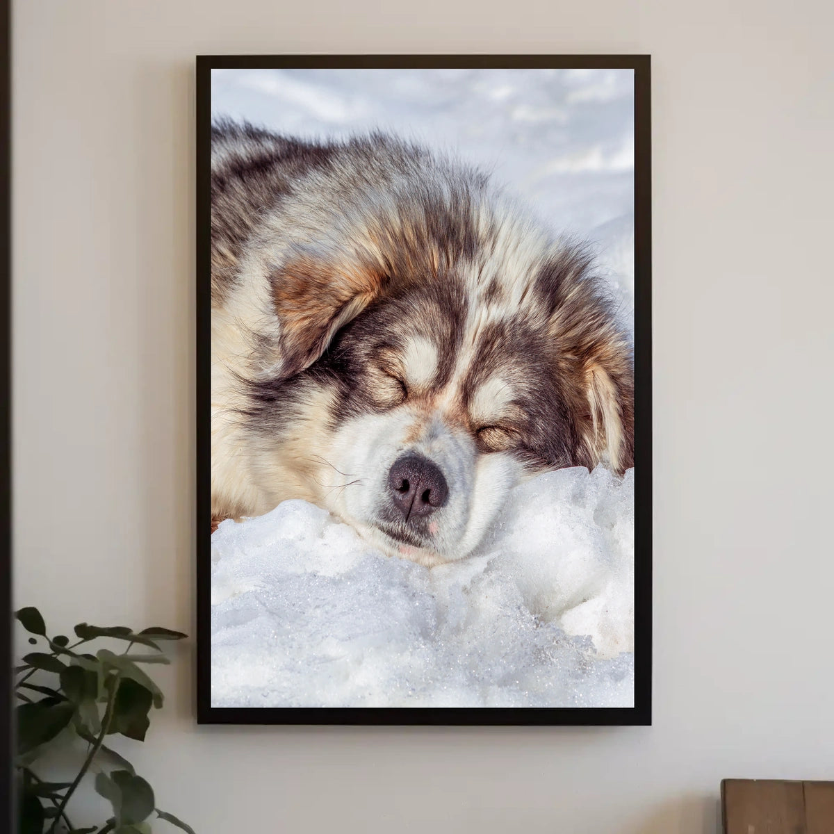 Winter Slumber Poster