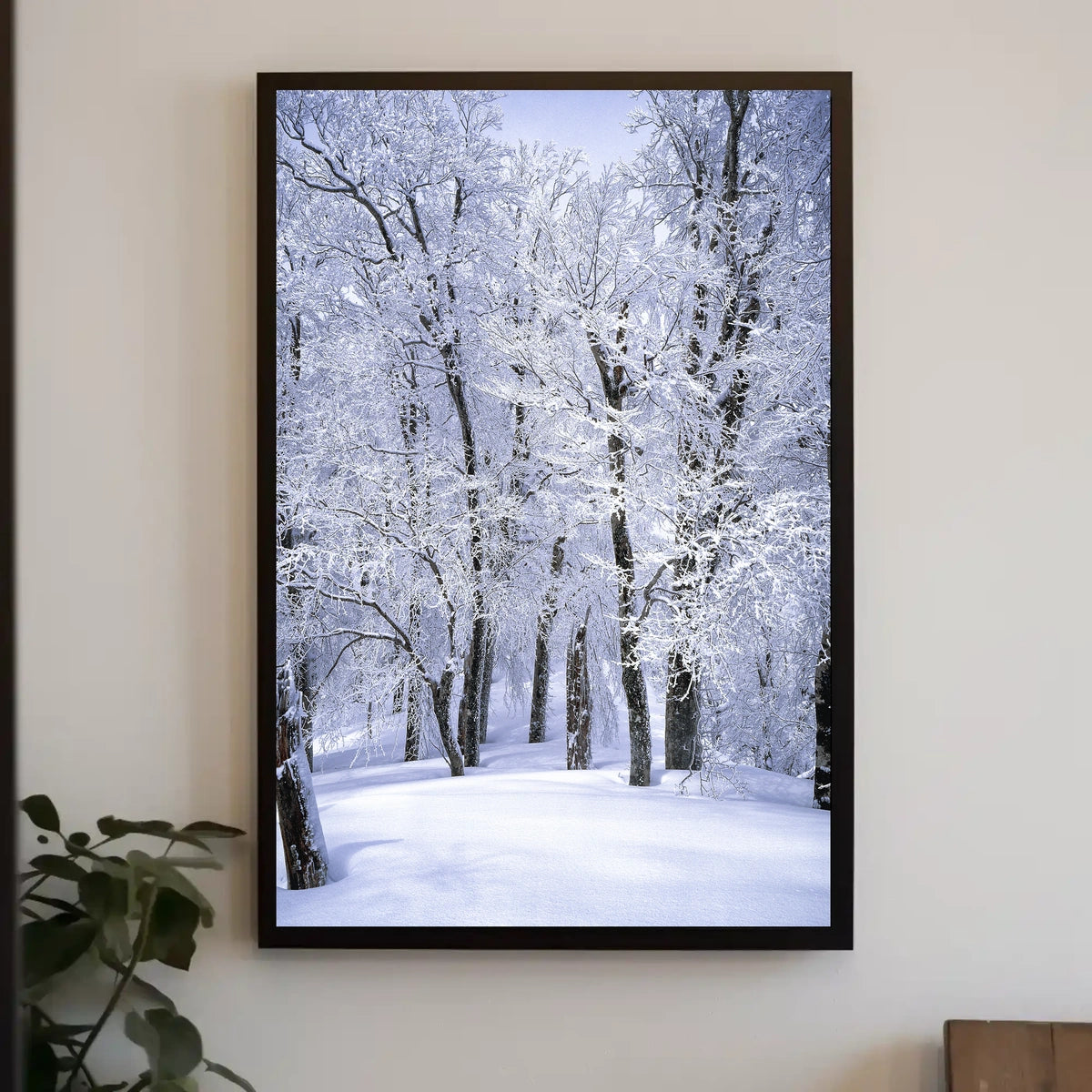 Winter Wonderland Poster
