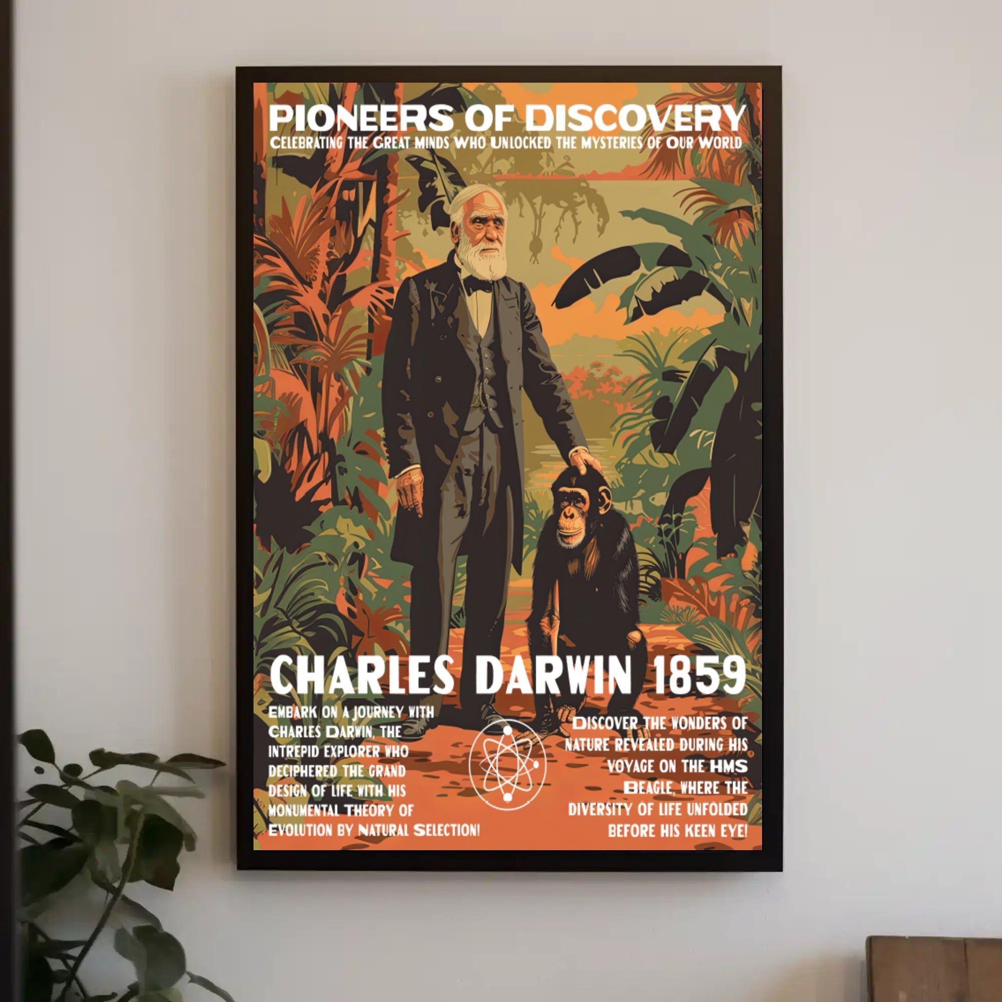 Darwin Evolution Vintage Educational or Infographic Poster