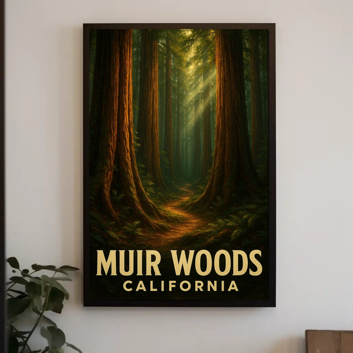 Muir Woods California Poster