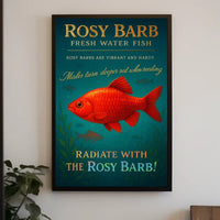 Rosy Barb Freshwater Fish Poster