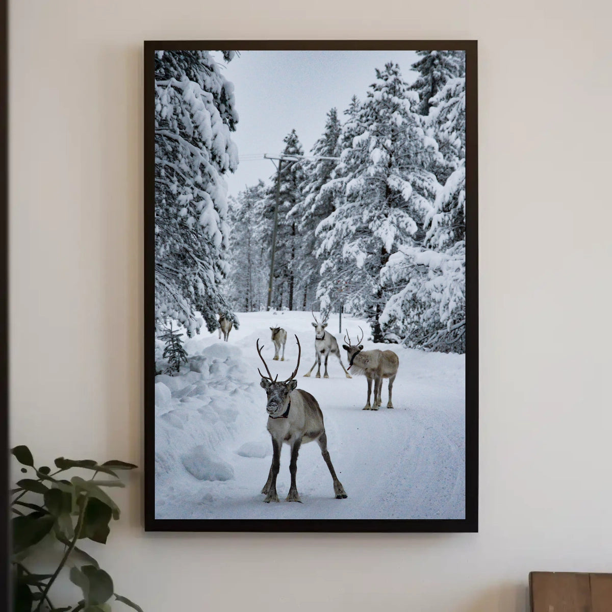 Winter Wonderland With Reindeer Poster