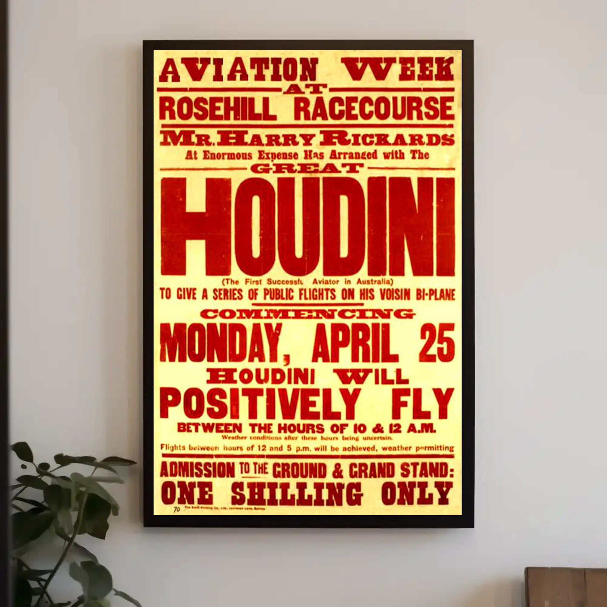 Houdini Aviation Show Vintage Cultural Heritage Poster