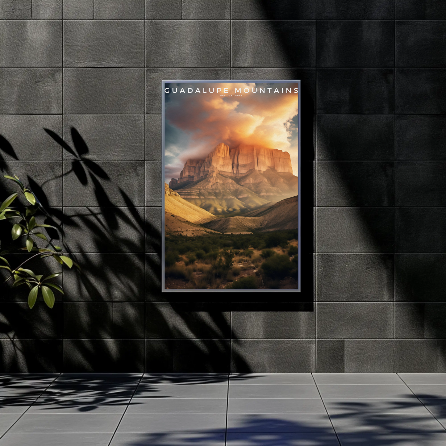 Guadalupe Mountains National Park Poster