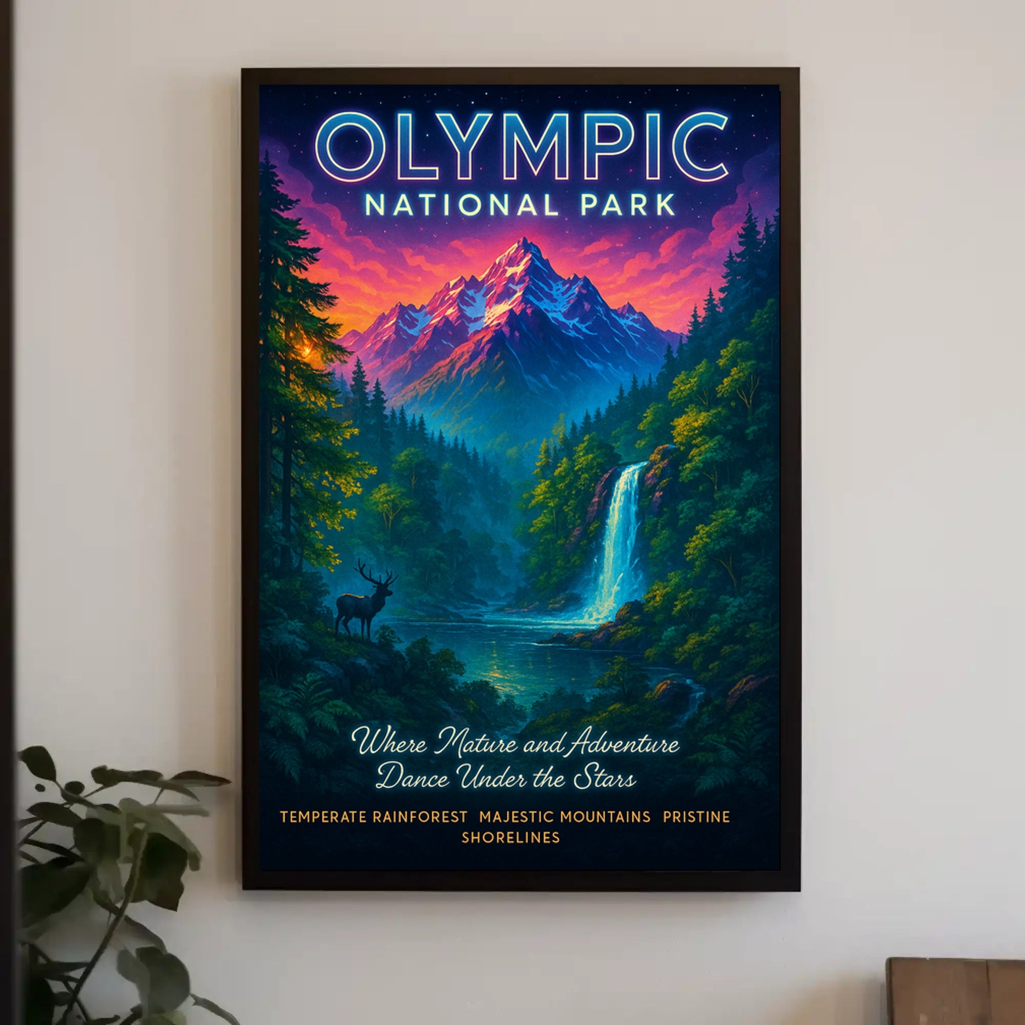 Olympic National Park Adventure Poster Print
