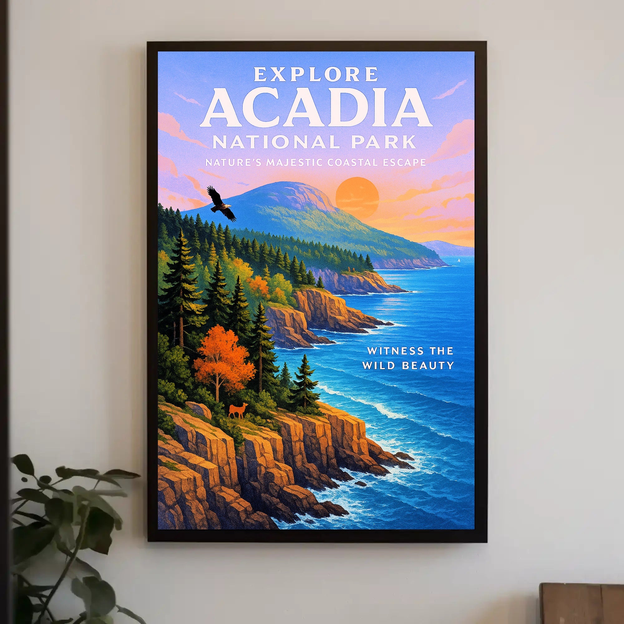 Explore Acadia National Park Poster