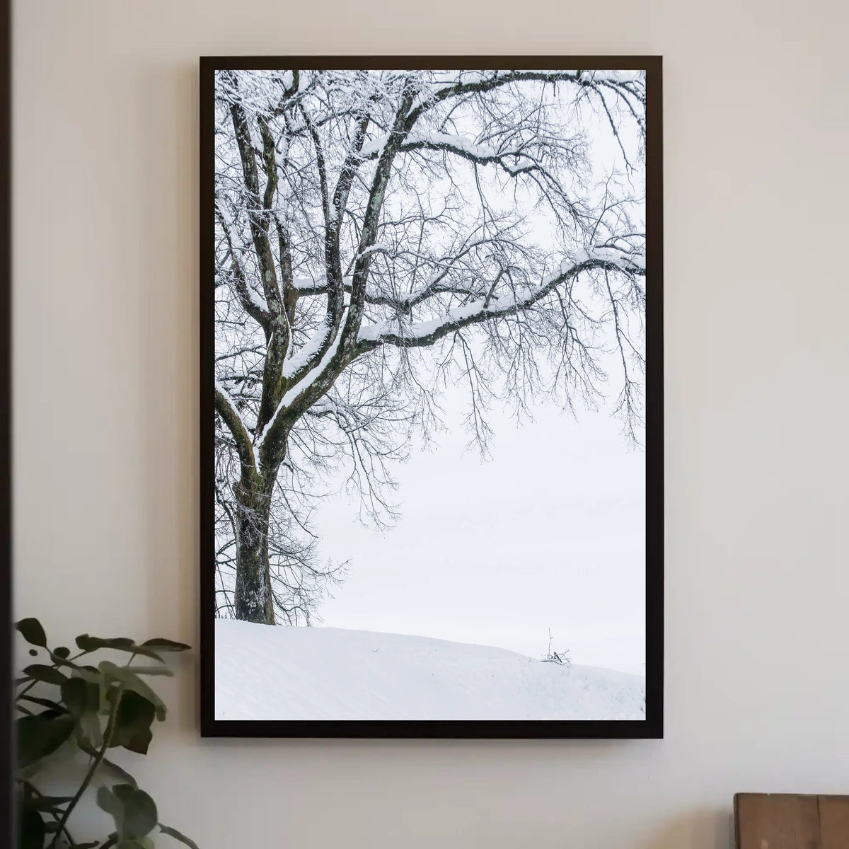 Winter Serenity Poster
