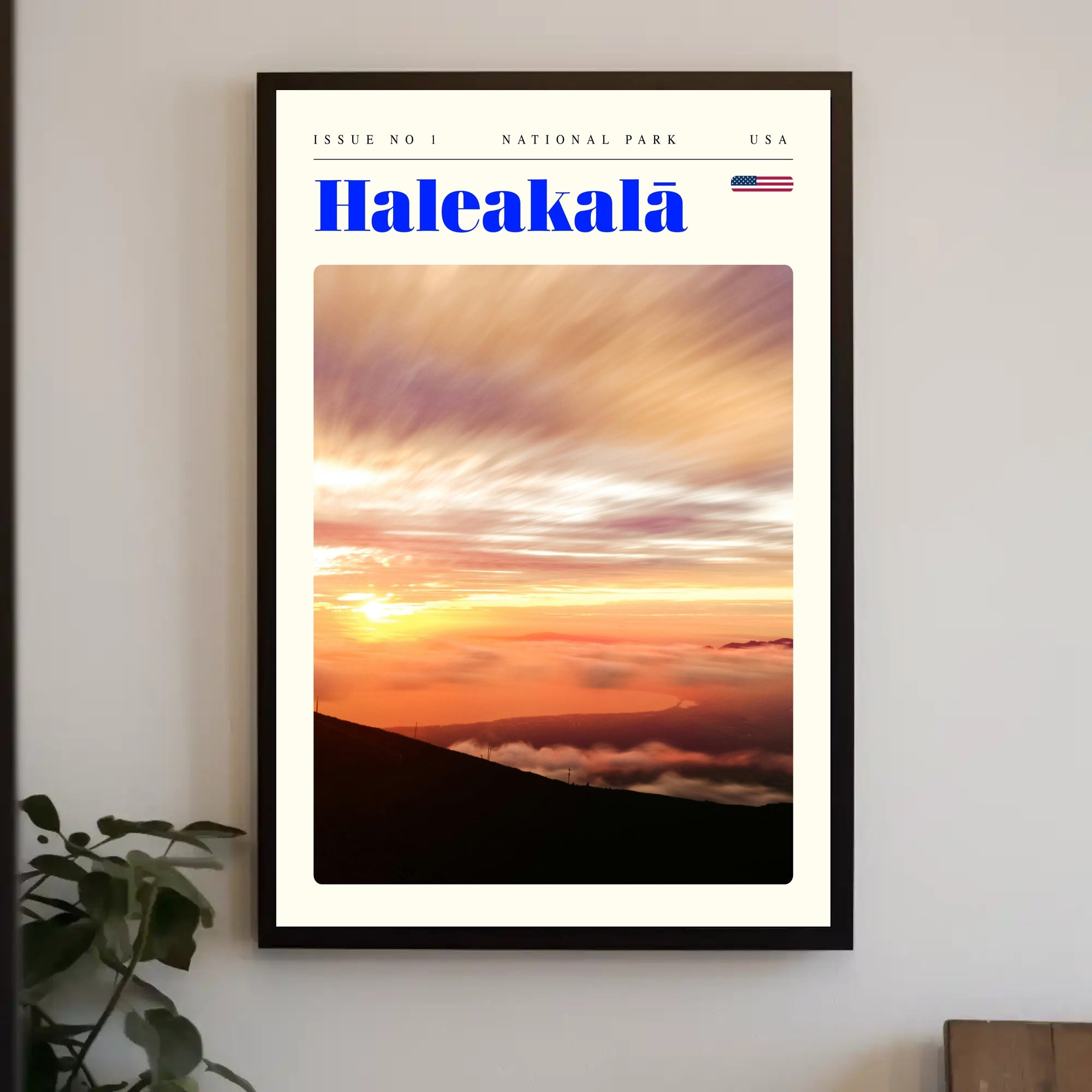 Haleakala National Park Vintage Travel Poster Print