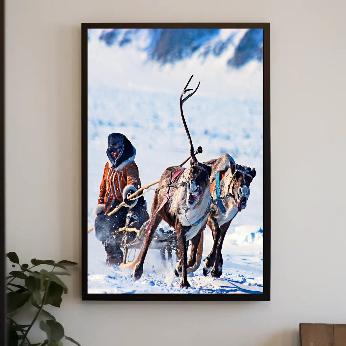 Arctic Adventure Poster