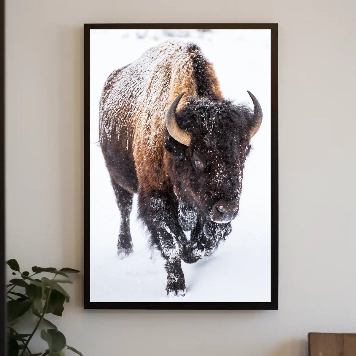 Majestic Bison in Snowy Wilderness Art Print
