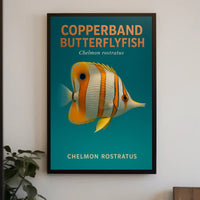Copperband Butterflyfish Poster PosterGoat