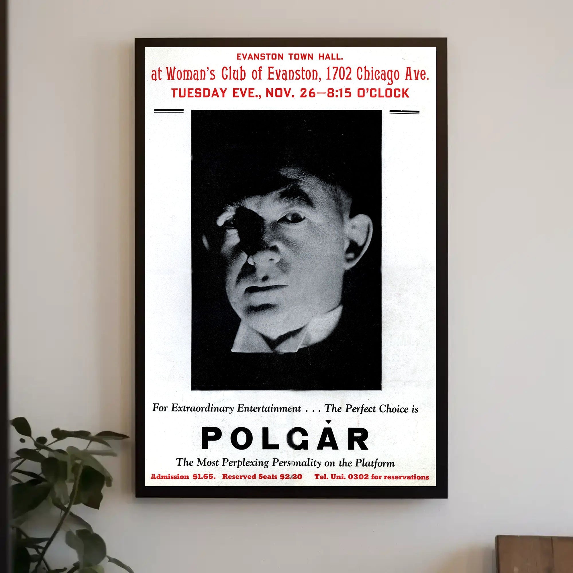 Polgar Mystique Performance Poster Historical or Presidential Poster