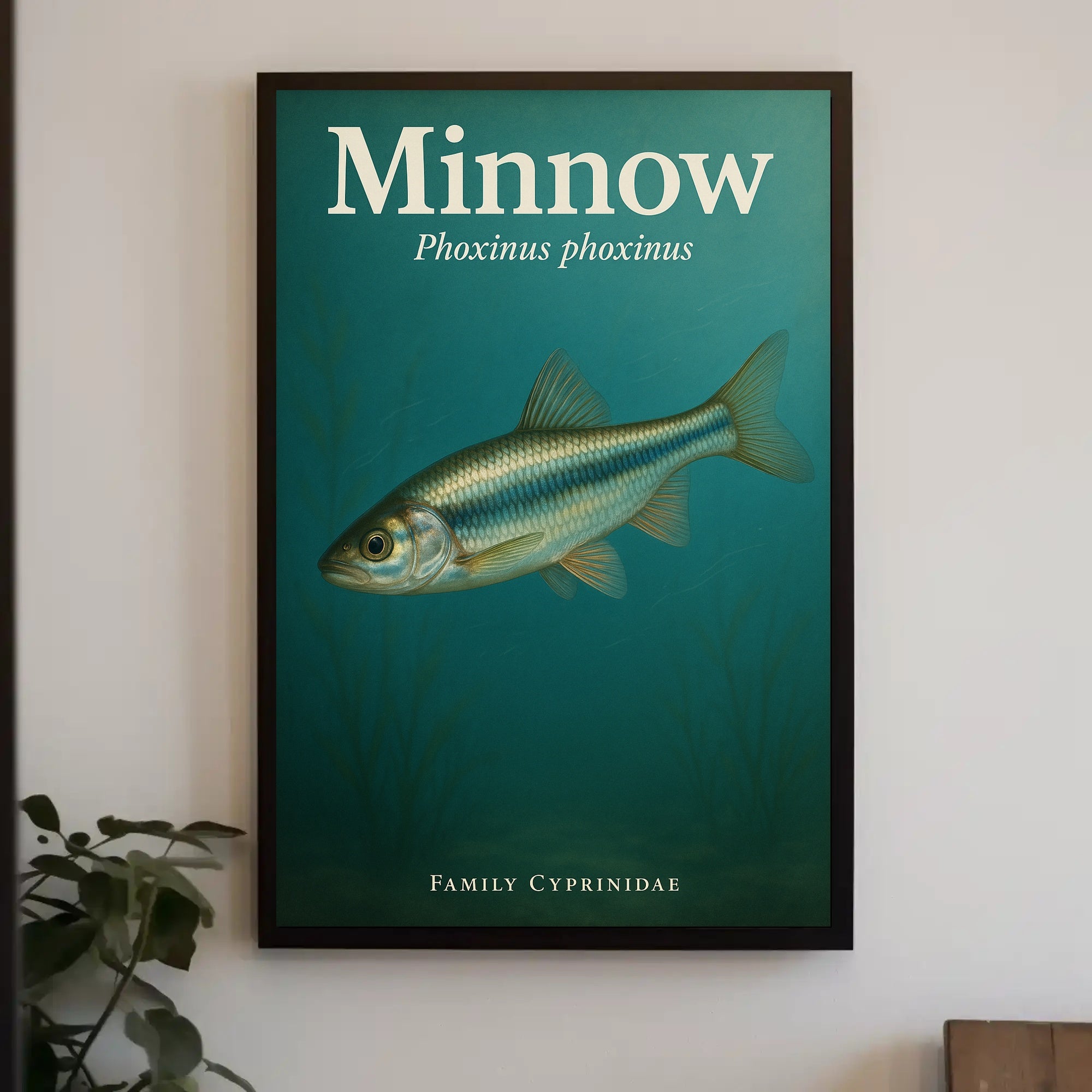 Minnow Phoxinus phoxinus Poster PosterGoat