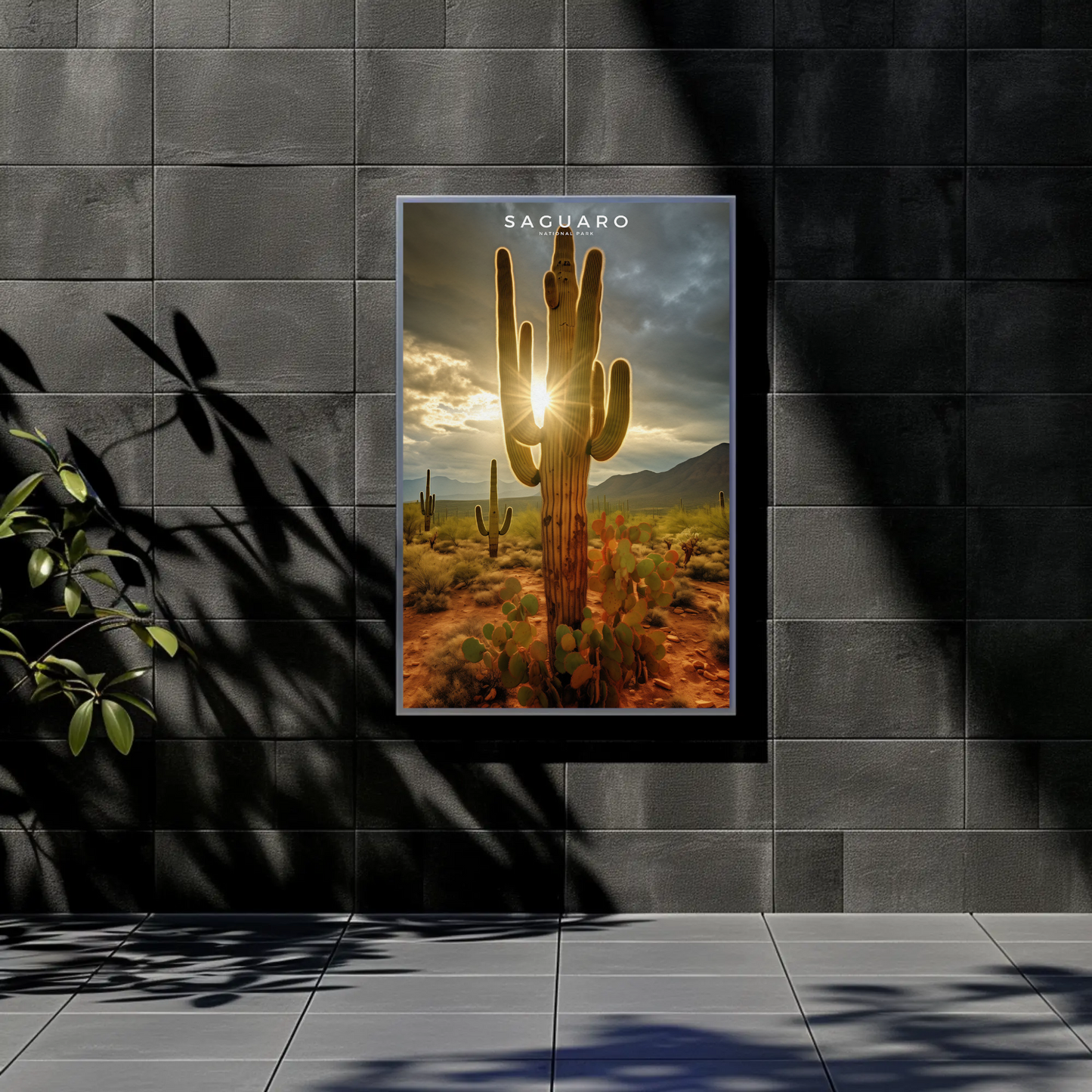 Saguaro National Park Poster