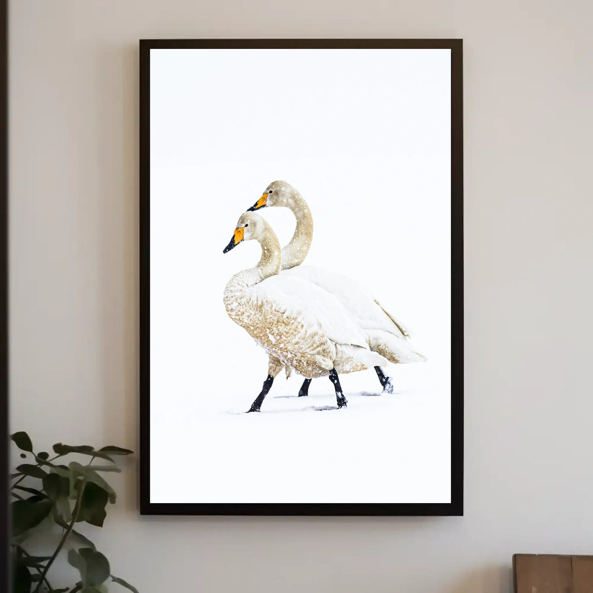 Serene Winter Swans Minimalist Art Poster