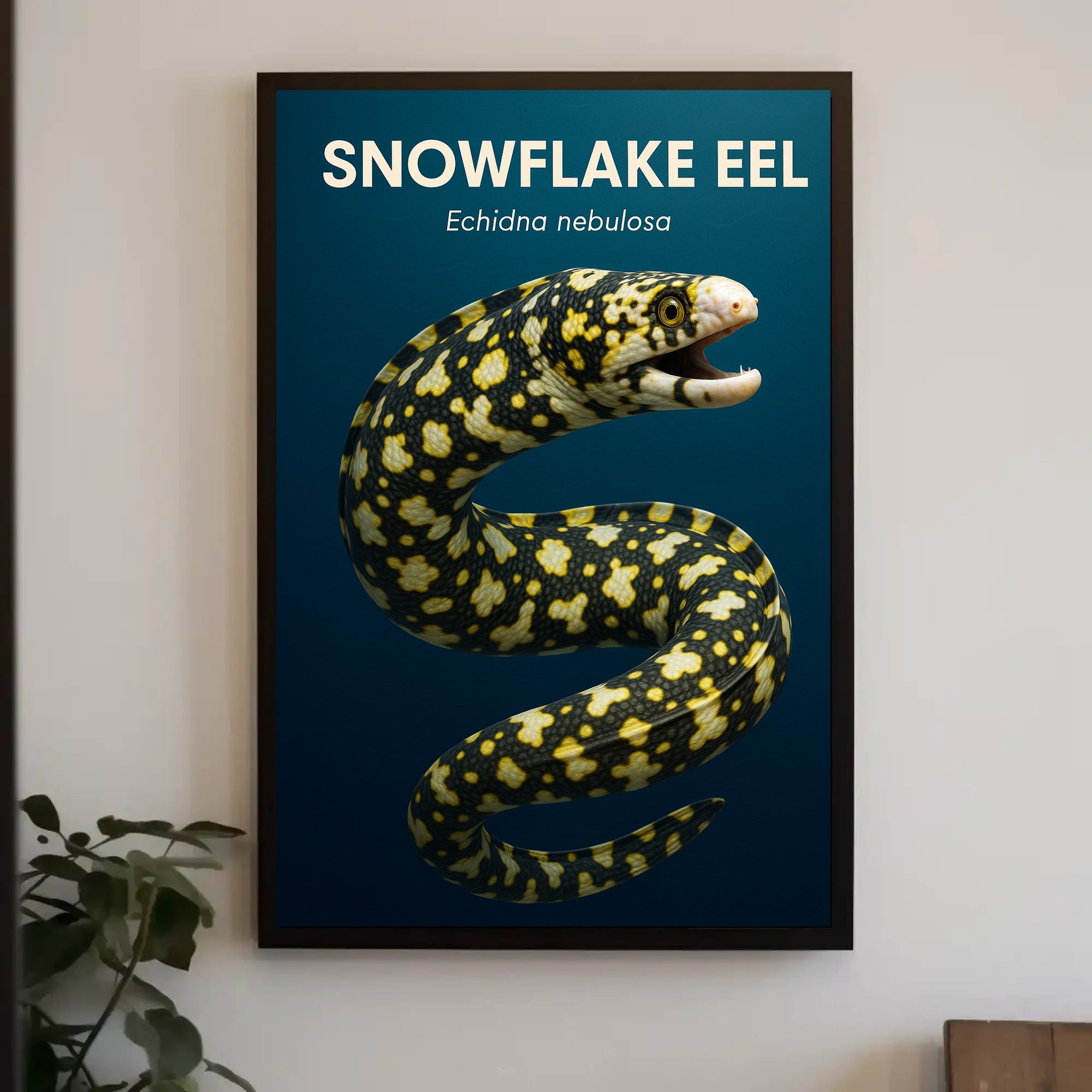 Snowflake Eel Poster PosterGoat