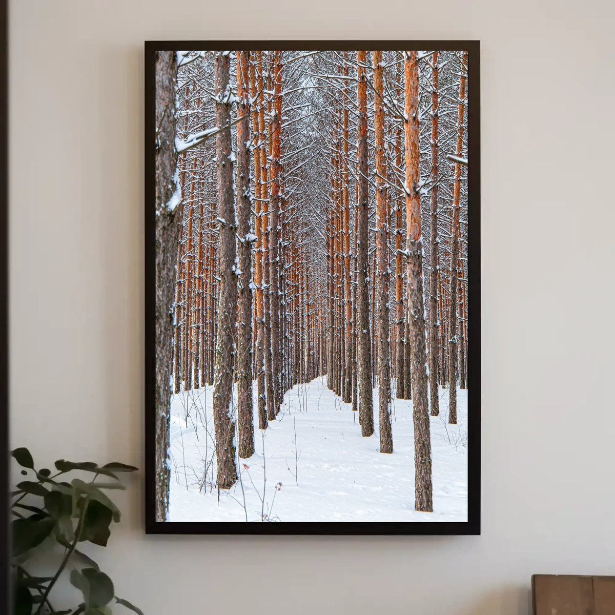 Winter Forest Serenity Poster