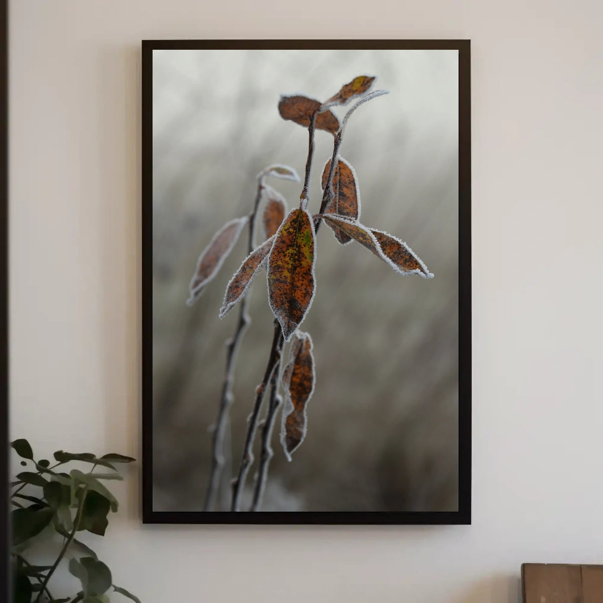 Frost-Covered Autumn Leaves Nature Poster