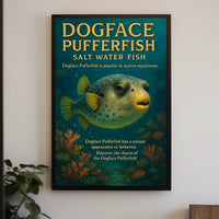 Dogface Pufferfish Salt Water Fish Poster