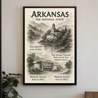Arkansas The Natural State Poster