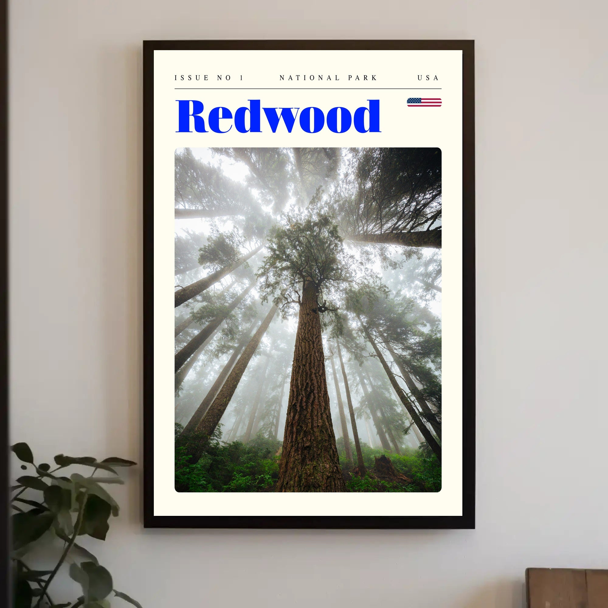 Redwood National Park Scenic Poster Wall Art Print