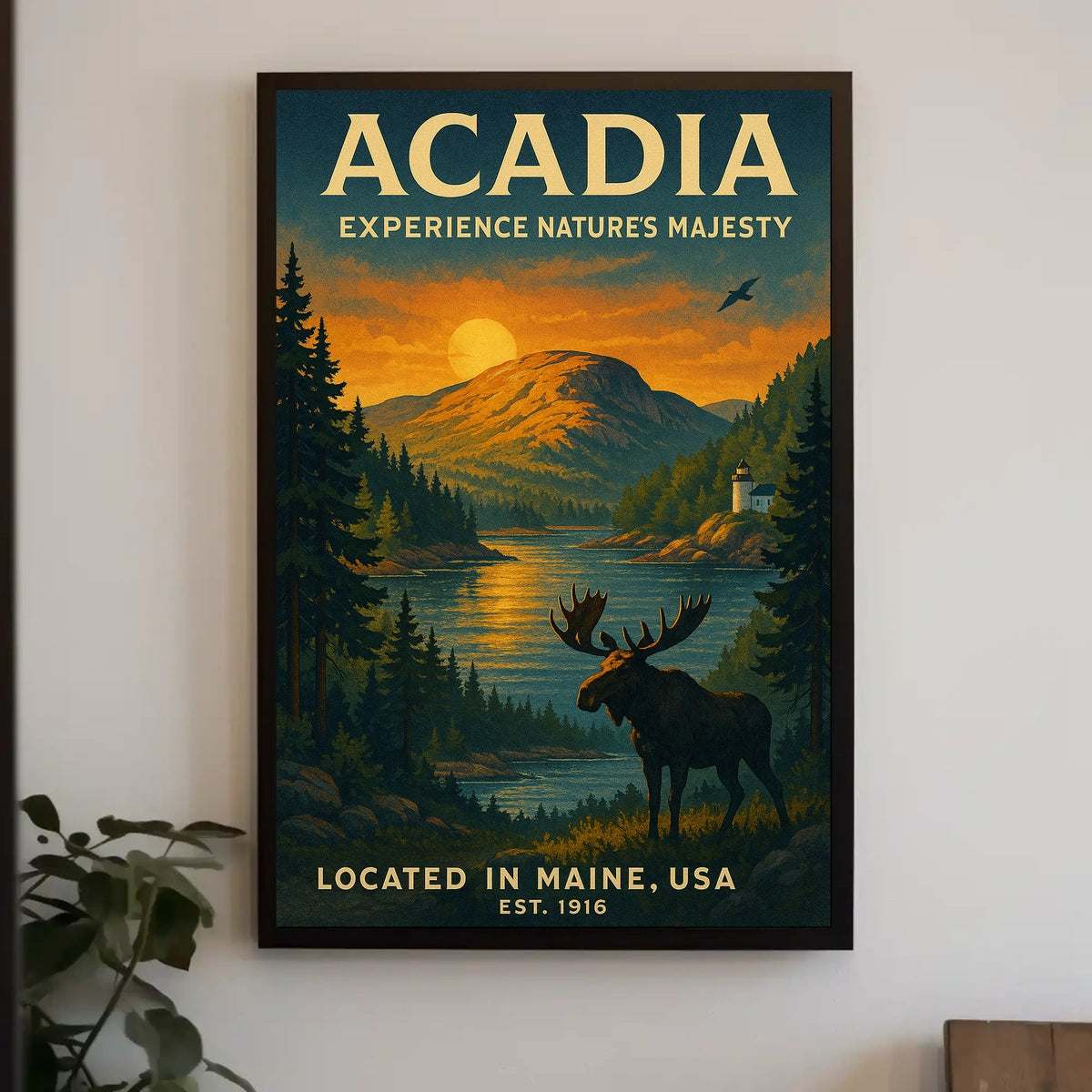 Discover Acadia National Park