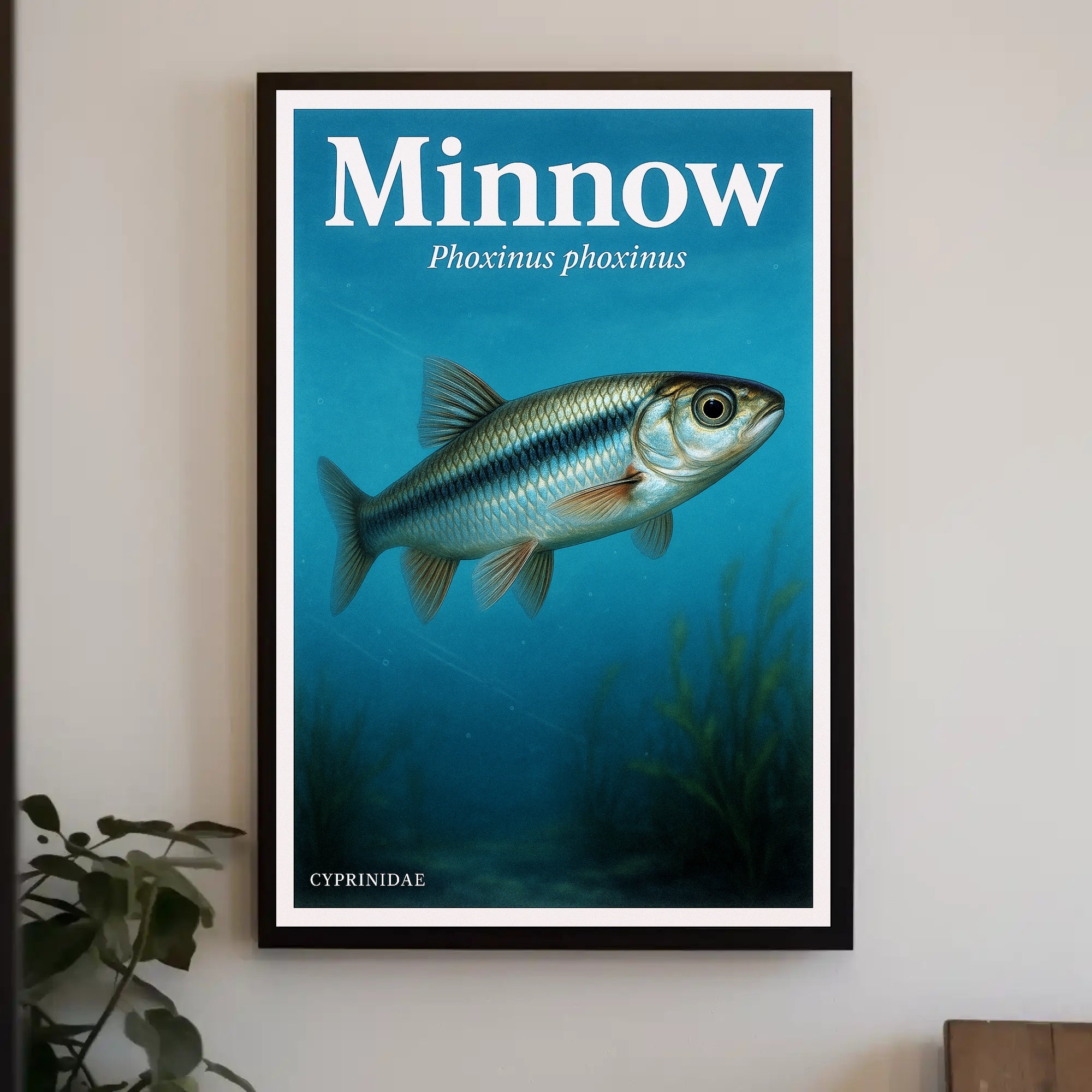 Minnow - Phoxinus phoxinus Poster PosterGoat