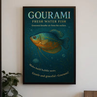 Gourami Freshwater Fish Poster