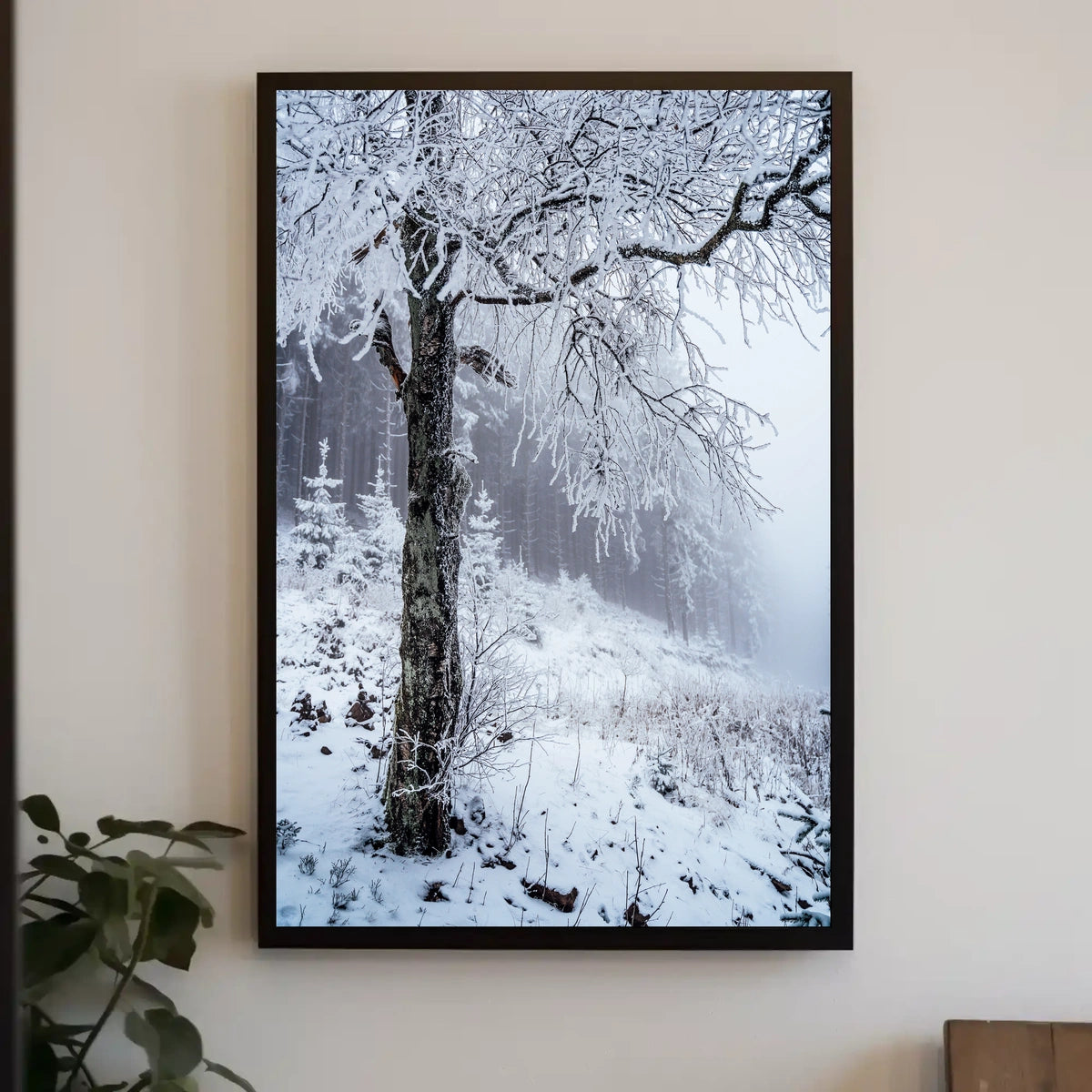 Winter Serenity Poster