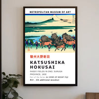 Katsushika Hokusai Paddy Fields in Ono Suruga Province Poster