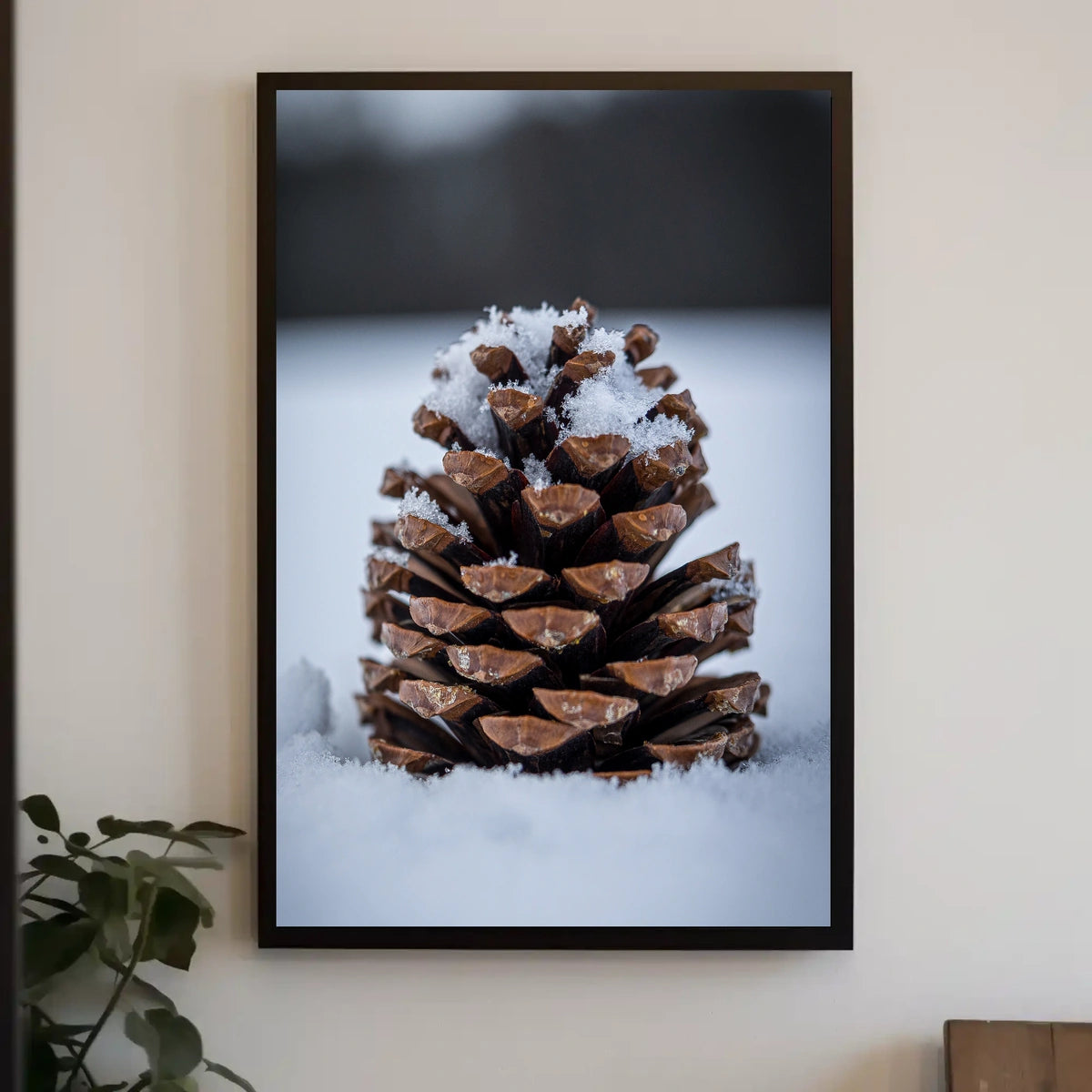 Winter Pinecone Poster