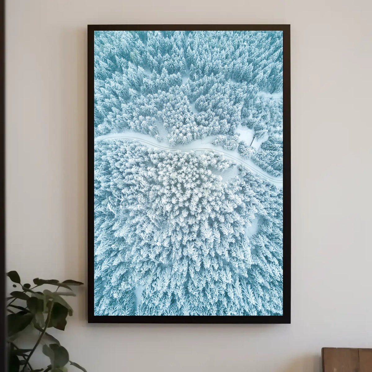 Winter Serenity: Aerial Forest View National Park Poster