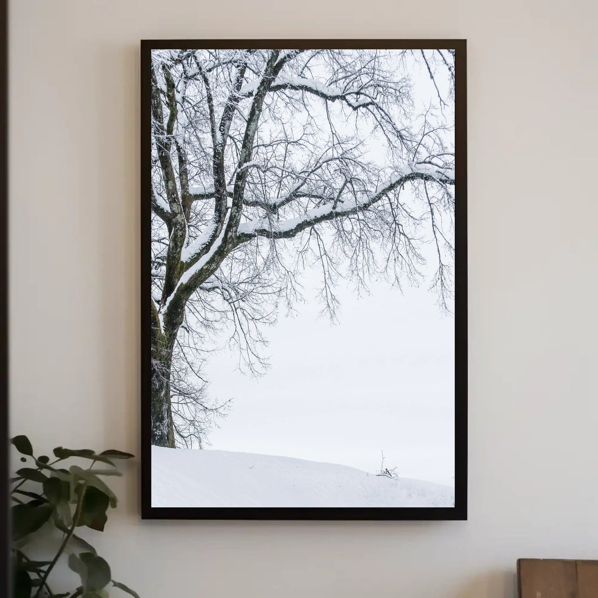 Winter Serenity Poster