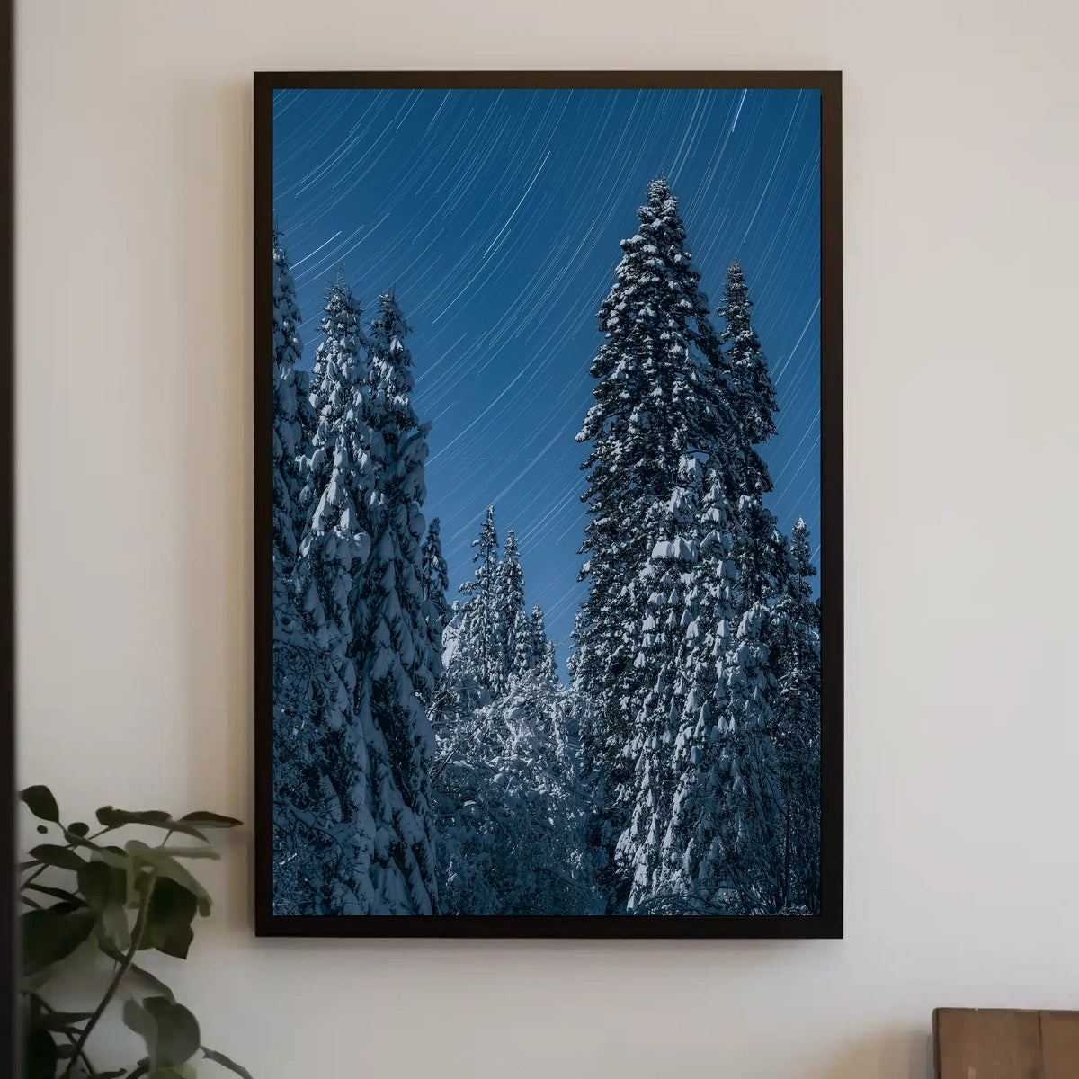 Winter Night Star Trails Forest Art Poster