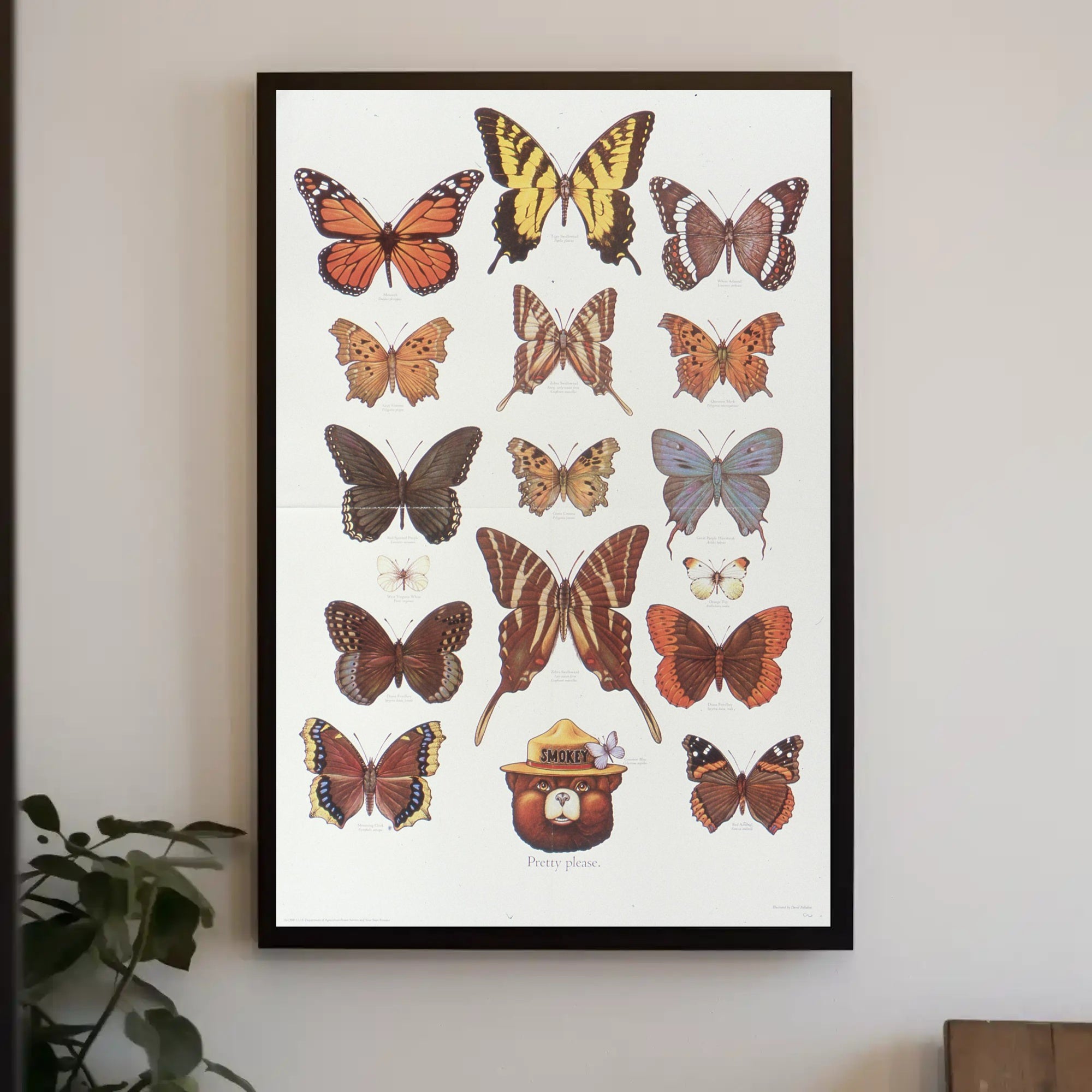 Butterfly Collection and Smokey Bear Poster PosterGoat