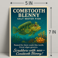 Combtooth Blenny Saltwater Fish Poster Art PosterGoat