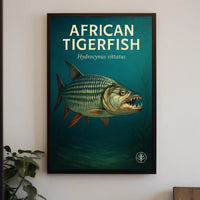 African Tigerfish Poster