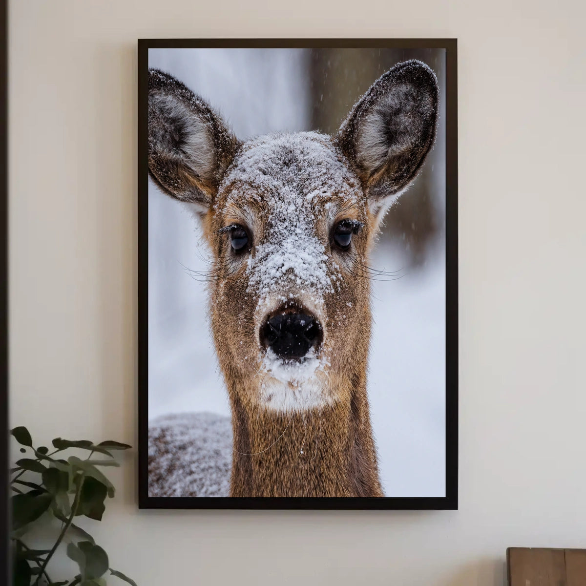 Winter Wonder Poster