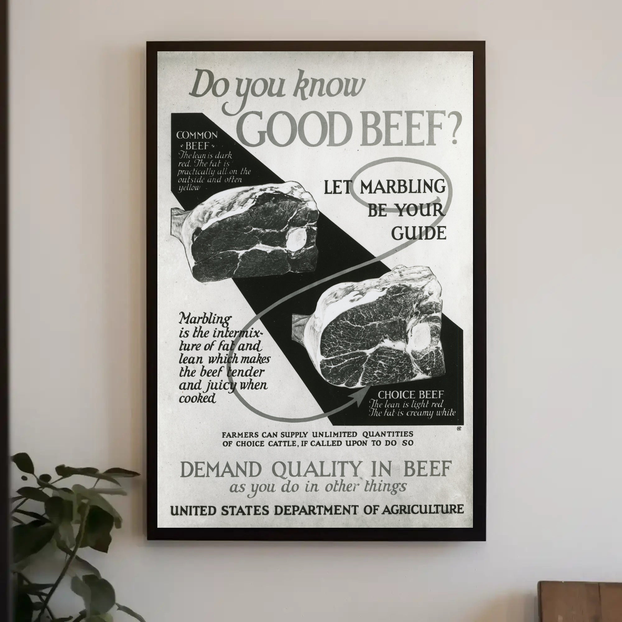 Quality Beef Vintage Educational Poster PosterGoat