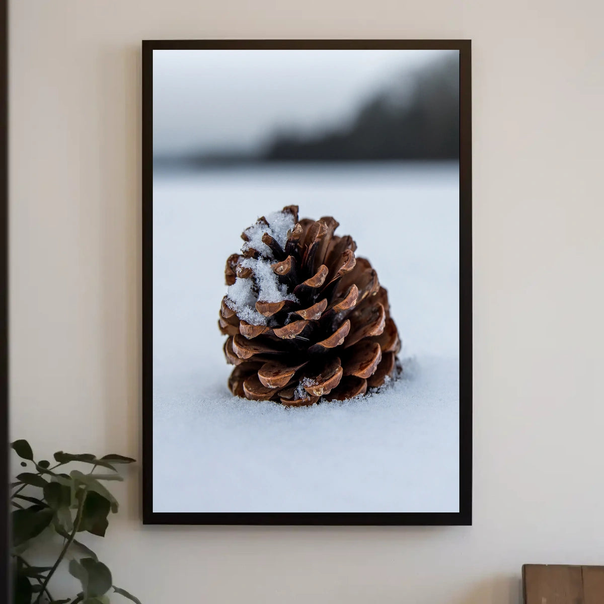 Winter Pinecone Poster