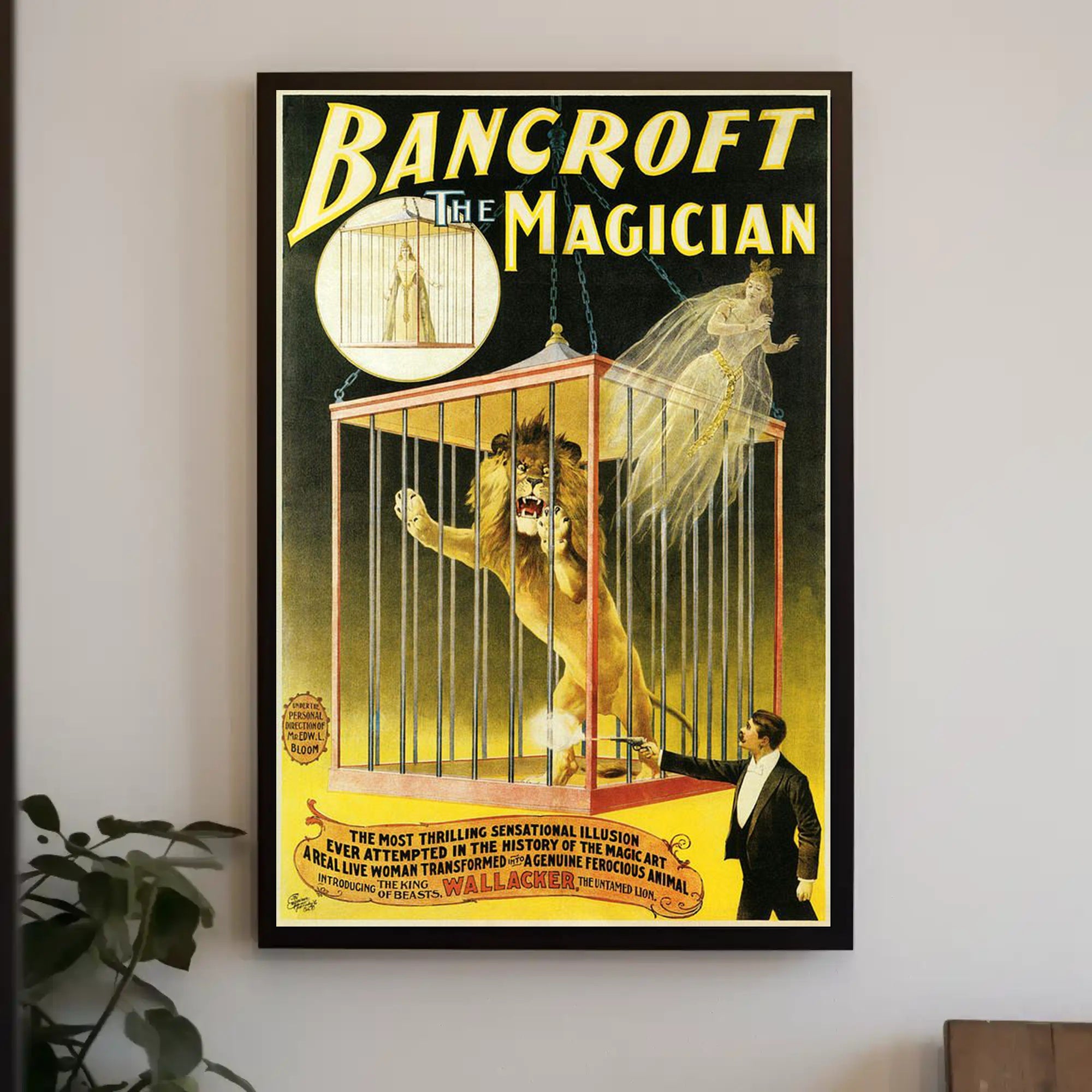 Bancroft The Magician Vintage Poster - Cultural or Heritage Poster