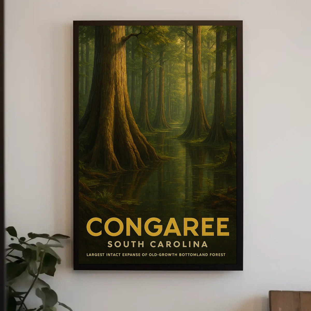 Congaree National Park Poster