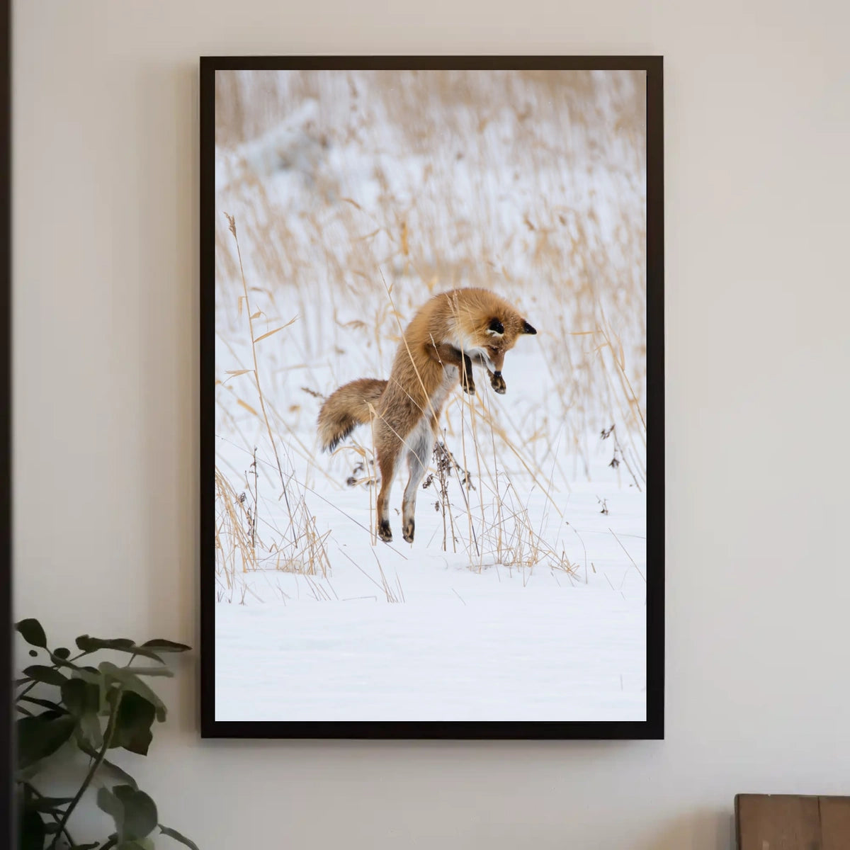 Red Fox Leaping in Snow Animal Poster