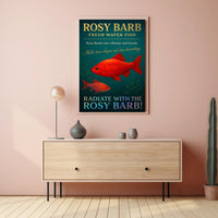 Rosy Barb Freshwater Fish Poster