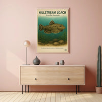 Hillstream Loach Sewellia lineolata Poster PosterGoat