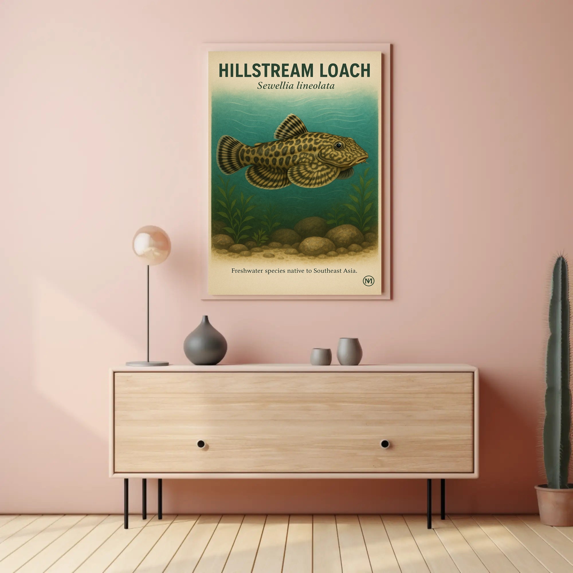 Hillstream Loach Sewellia lineolata Poster PosterGoat