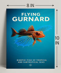 Flying Gurnard Exotic Sea Creature Poster PosterGoat