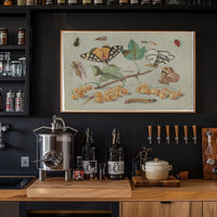 Insect and Foliage Vintage Botanical Illustration Educational Poster