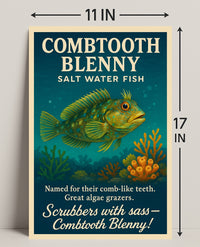 Combtooth Blenny Saltwater Fish Poster Art PosterGoat
