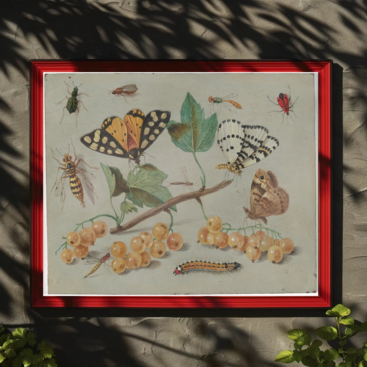 Insect and Foliage Vintage Botanical Illustration Educational Poster